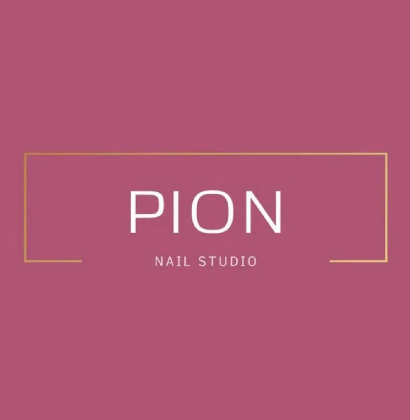 «PION»